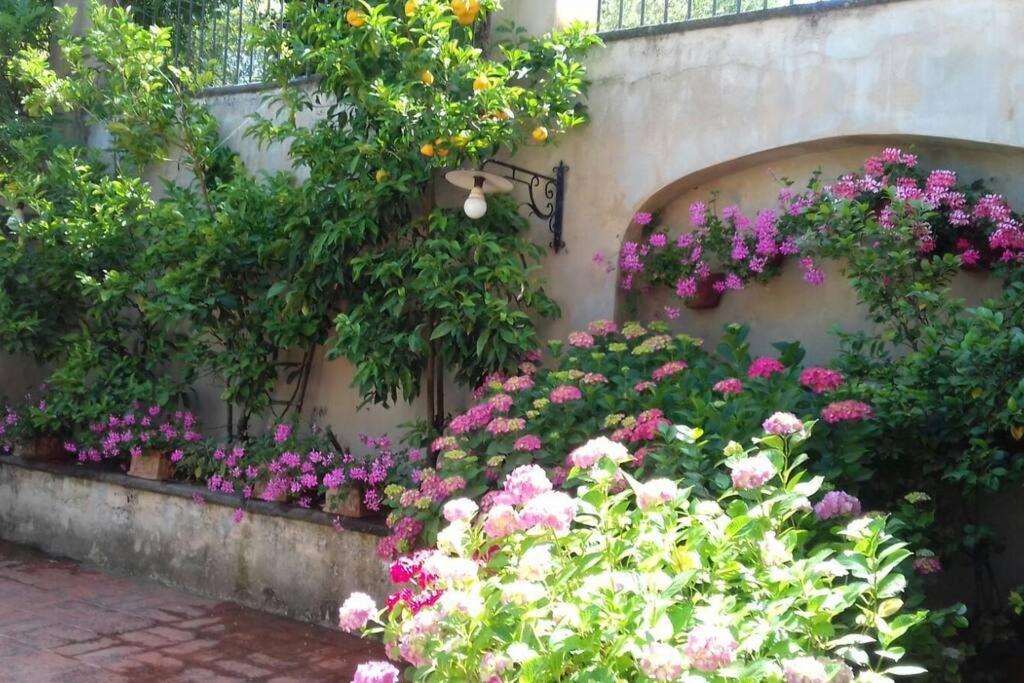 Apartment In Luxuryproperty Privatepool Garden Bbq Airc X8 Castelnuovo Di Porto Εξωτερικό φωτογραφία